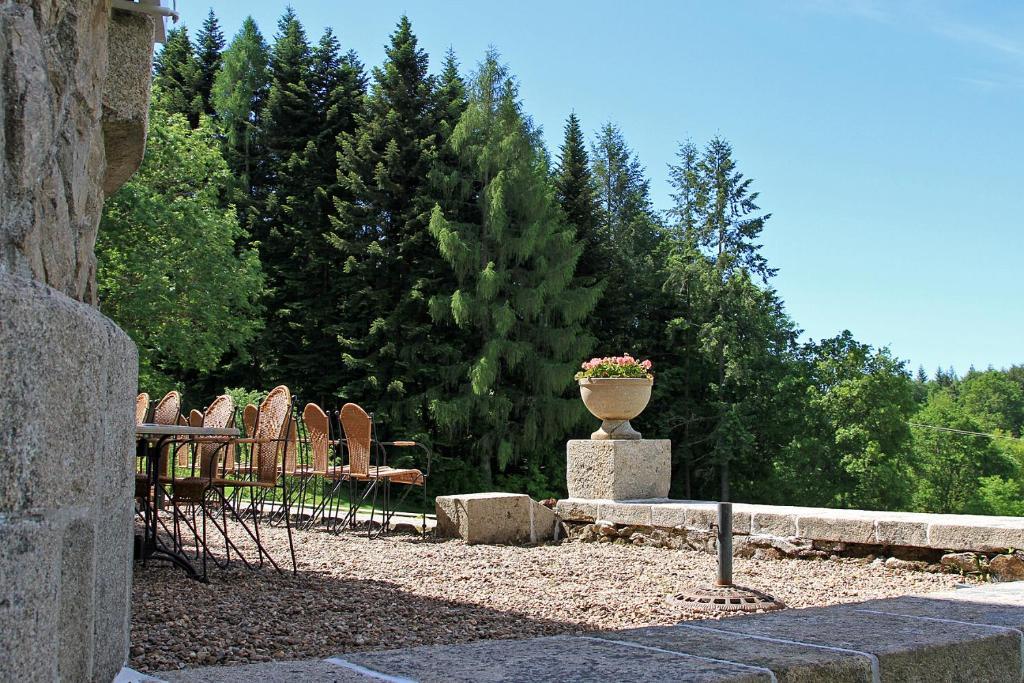 Chateau Le Mialaret Neuvic  Esterno foto